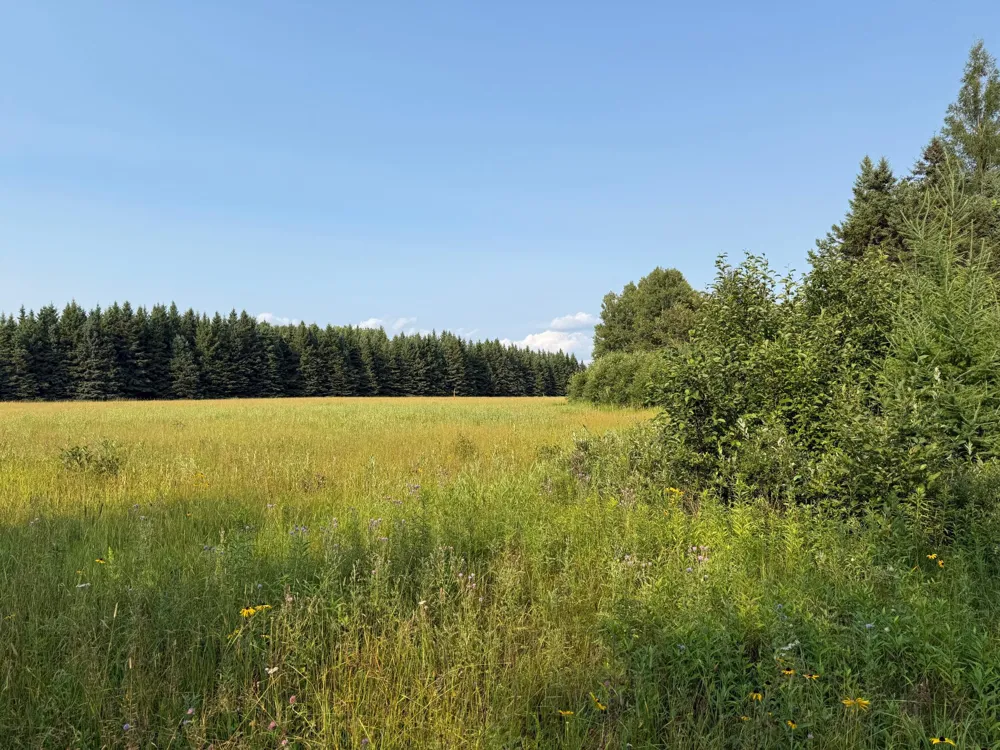 1159 HWY 83/Overton Rd. Meadowlands, MN 55765