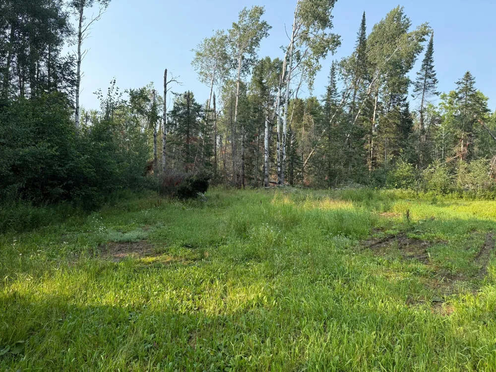 1159 HWY 83/Overton Rd. Meadowlands, MN 55765