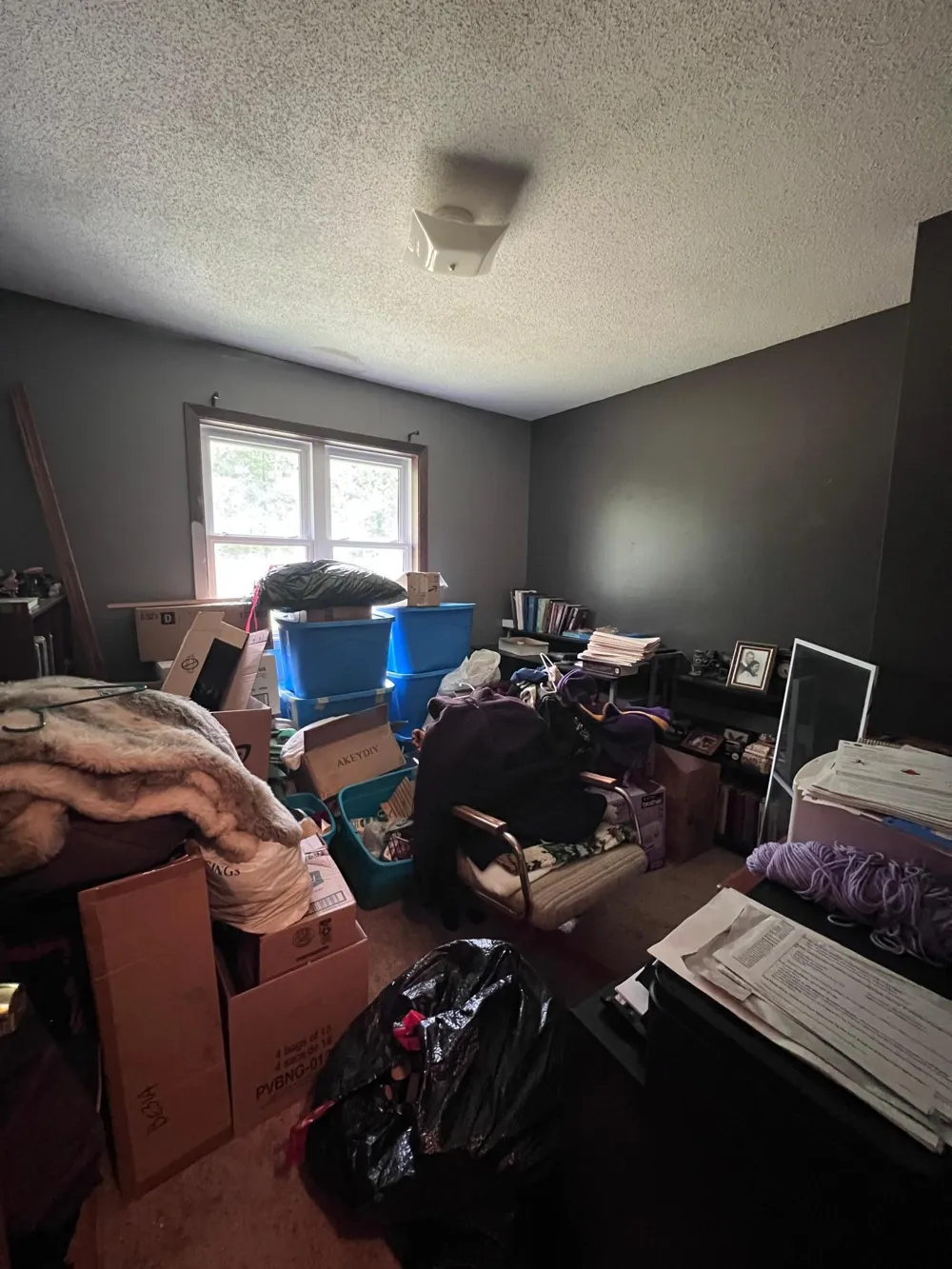 18256 Ithaca Drive Park Rapids, MN 56470