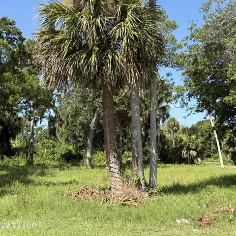 510512 Segrave Street