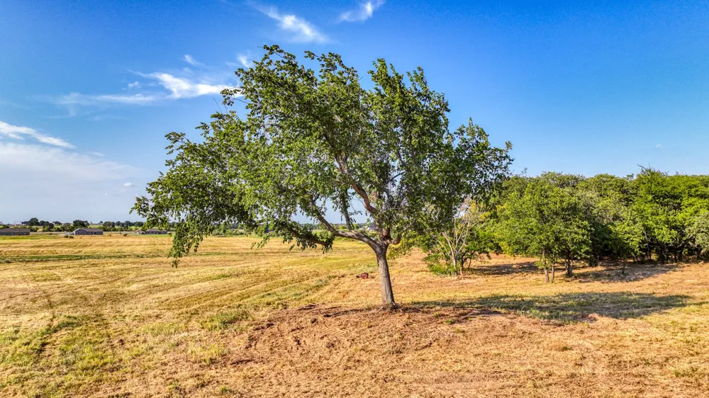 Three Quarter Loop Poolville, TX 76487