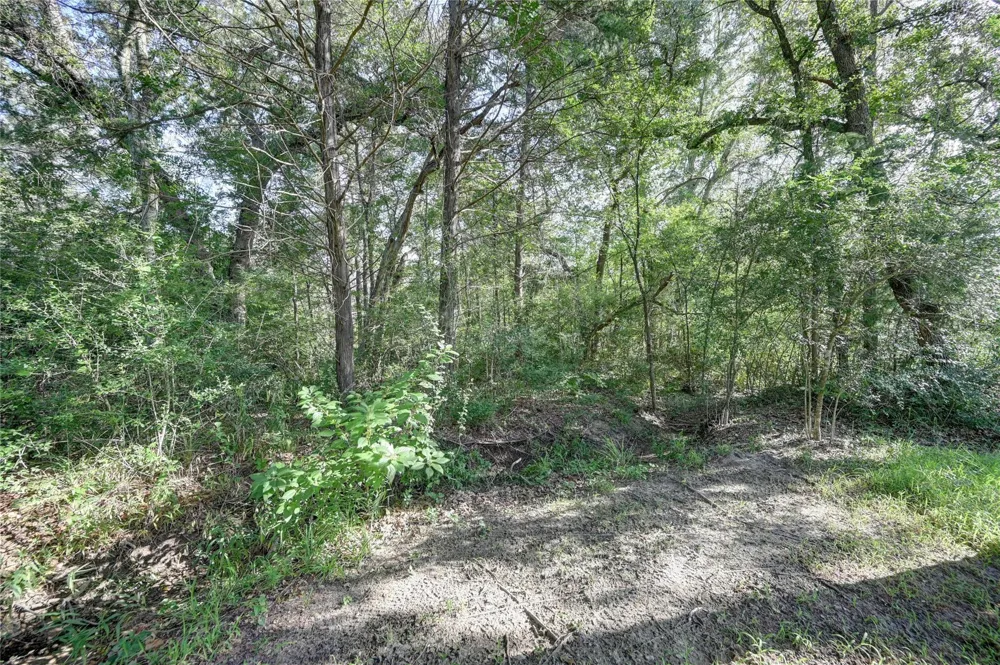 1425 Big Berry Road Somerville, TX 77879