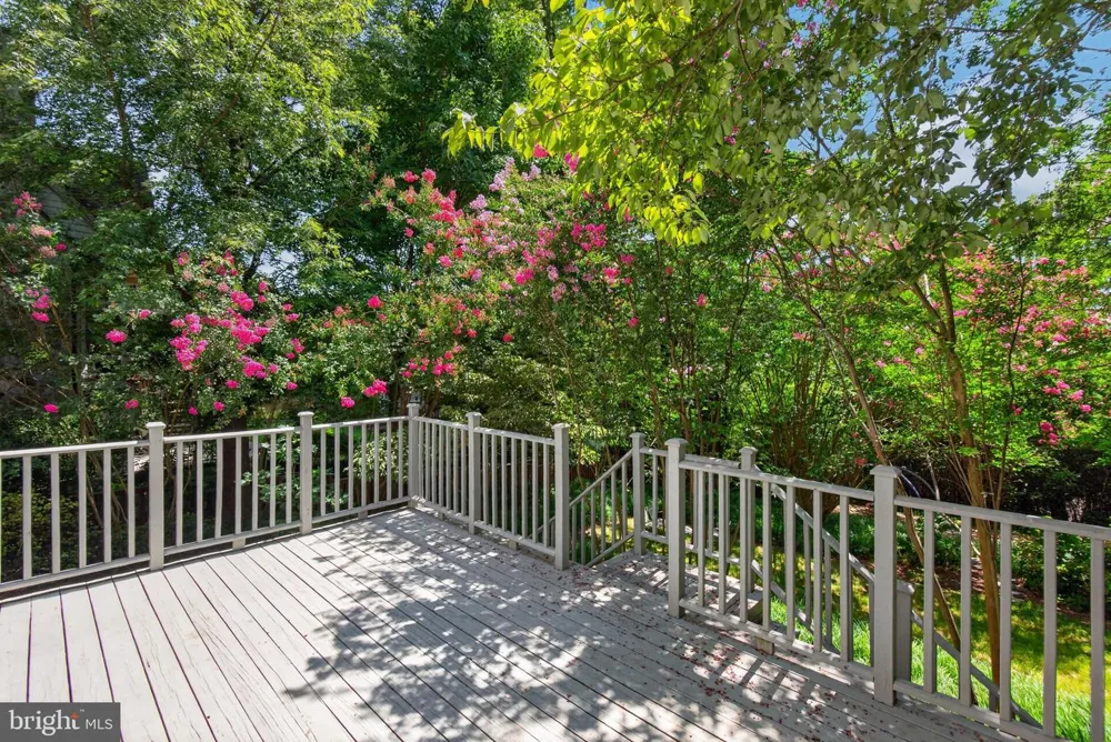 6414 BROOKES LANE Bethesda, MD 20816