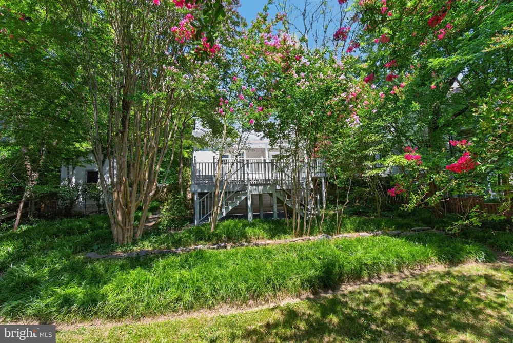 6414 BROOKES LANE Bethesda, MD 20816