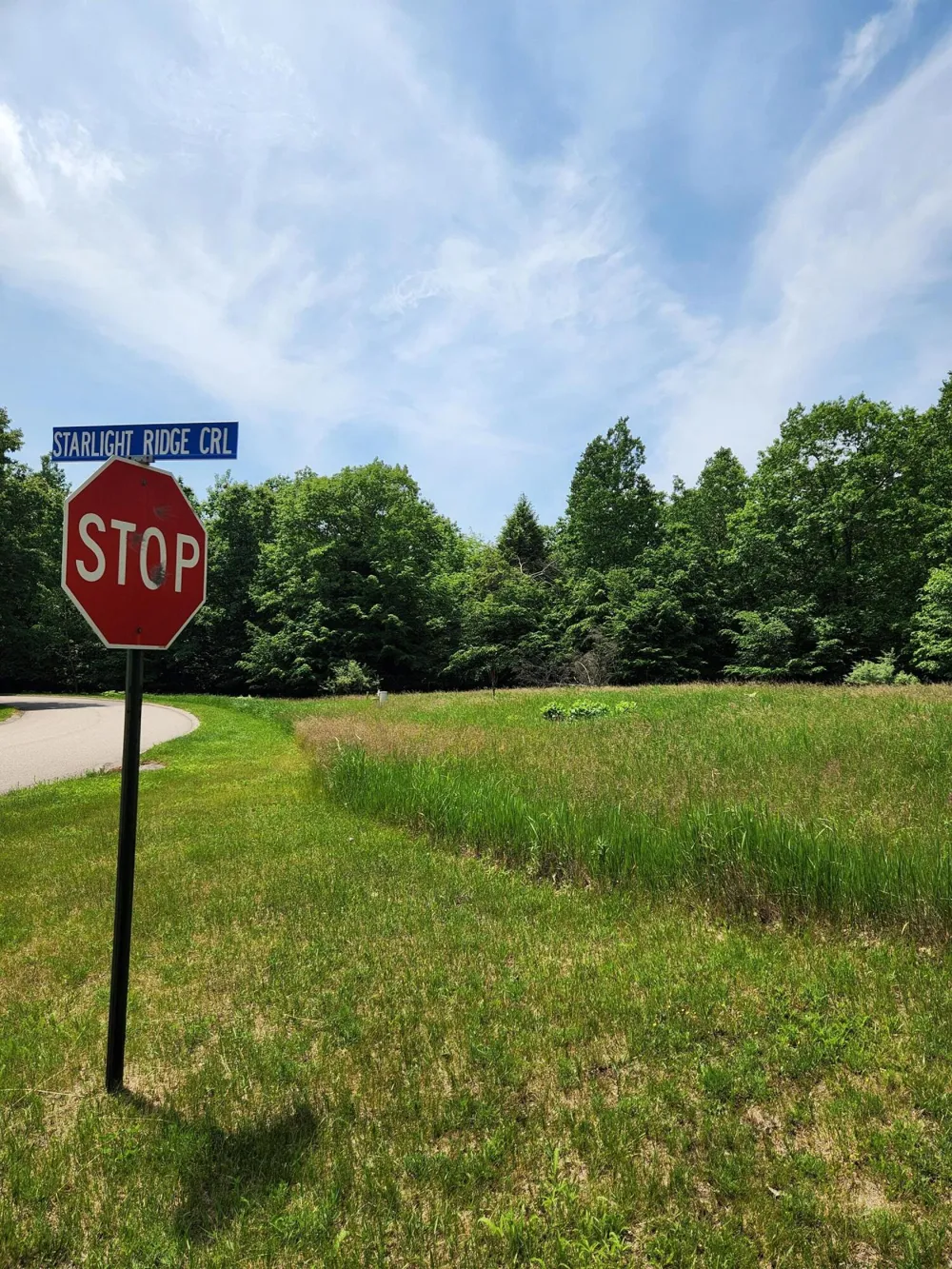 Opal Ridge Drive #64 Onekama, MI 49675