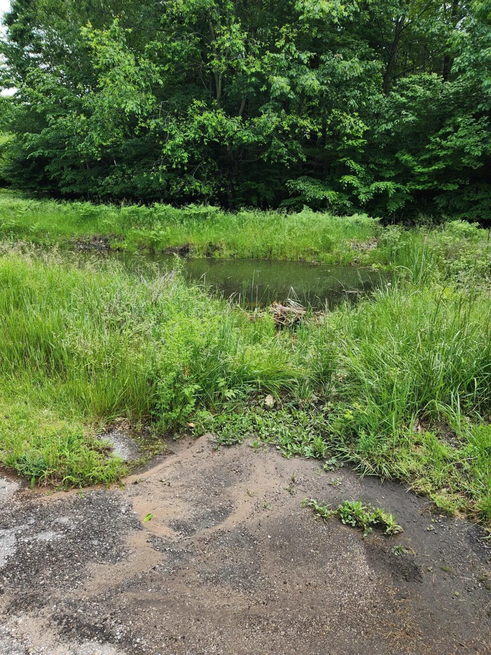 Opal Ridge Drive #64 Onekama, MI 49675