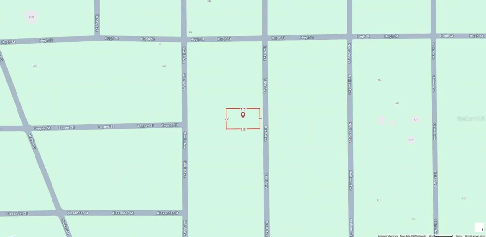 BRETT AVENUE Interlachen, FL 32148
