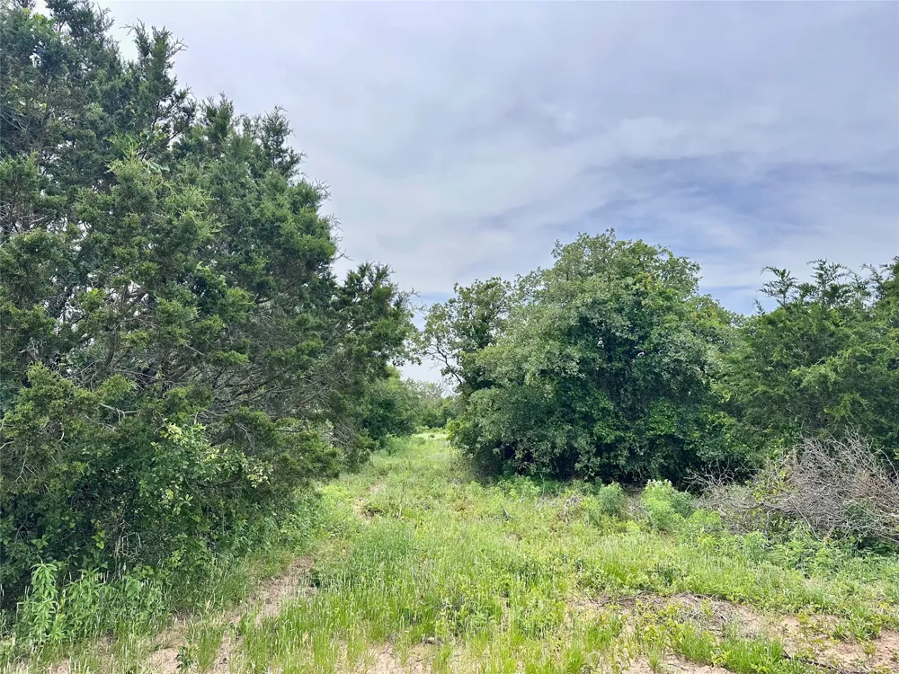 997 Private Road 4691 Baird, TX 79504