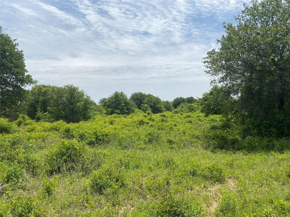 997 Private Road 4691 Baird, TX 79504