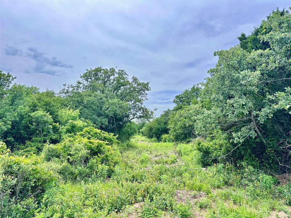 997 Private Road 4691 Baird, TX 79504