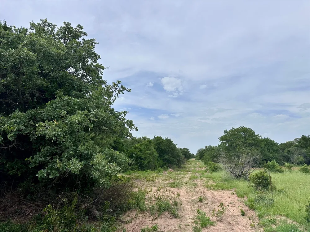 997 Private Road 4691 Baird, TX 79504