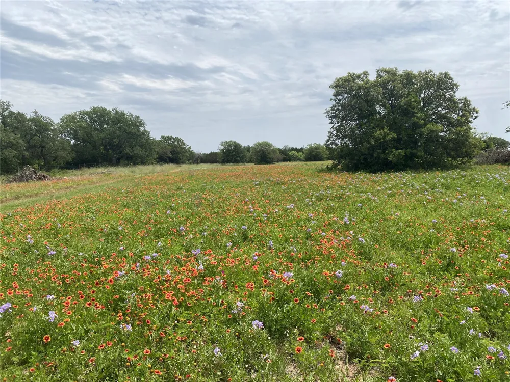 997 Private Road 4691 Baird, TX 79504