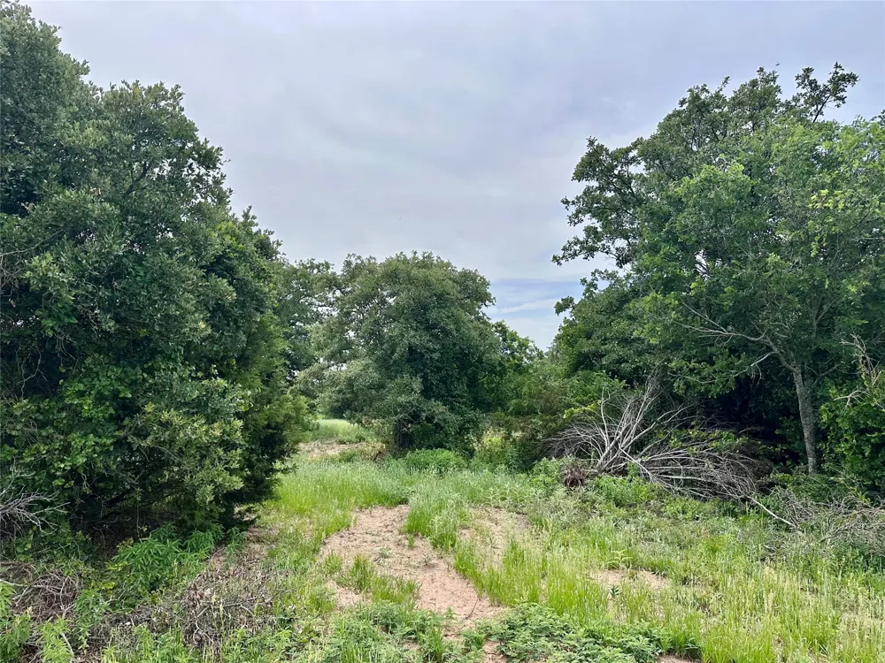 997 Private Road 4691 Baird, TX 79504