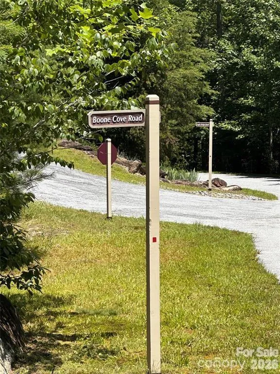 66 Boone Cove Road Zirconia, NC 28790
