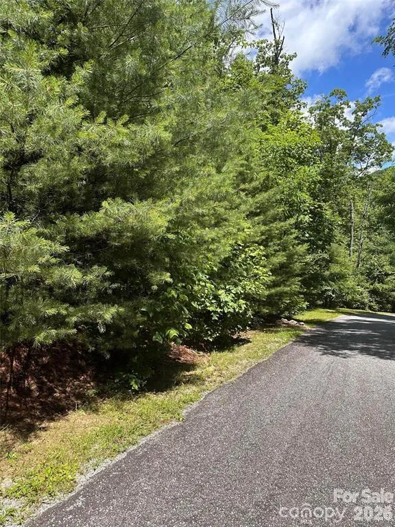 66 Boone Cove Road Zirconia, NC 28790
