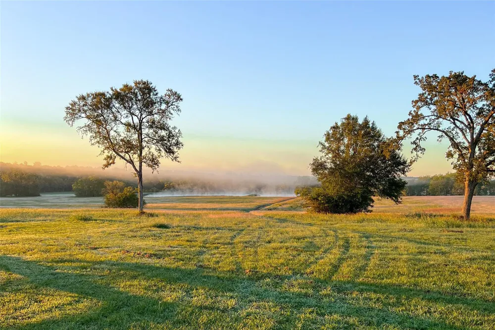 2757 Saint Beulah Chapel Rd Road Montgomery, TX 77316