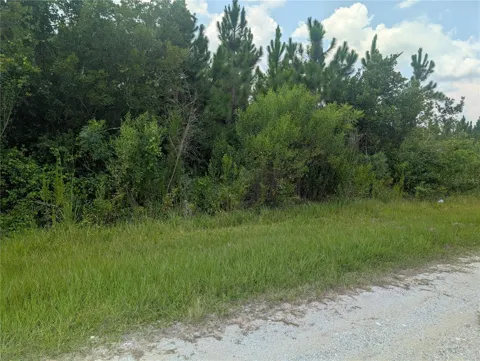 103 TROPICANA DRIVE