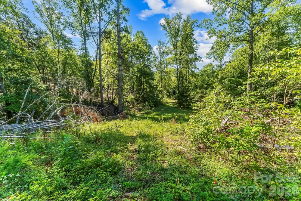 2815 Playmore Beach Road Morganton, NC 28655