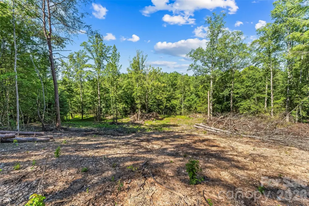 2815 Playmore Beach Road Morganton, NC 28655