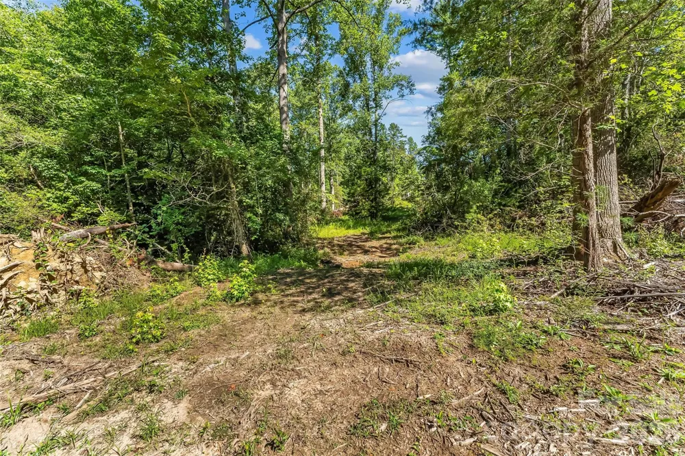2815 Playmore Beach Road Morganton, NC 28655