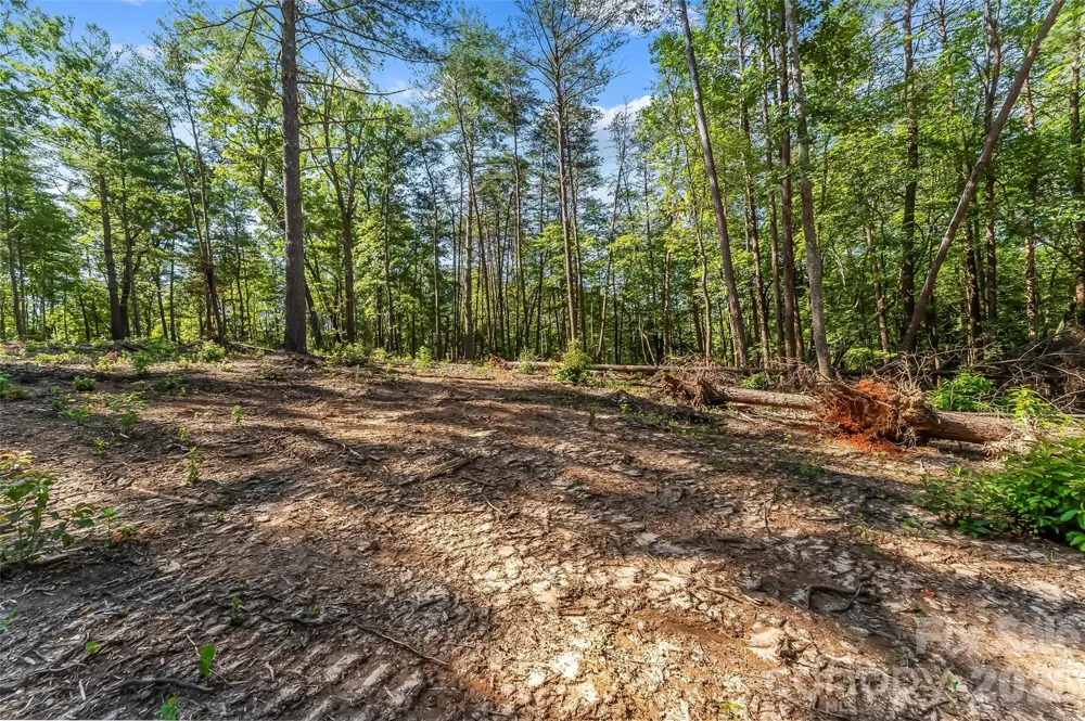 2815 Playmore Beach Road Morganton, NC 28655