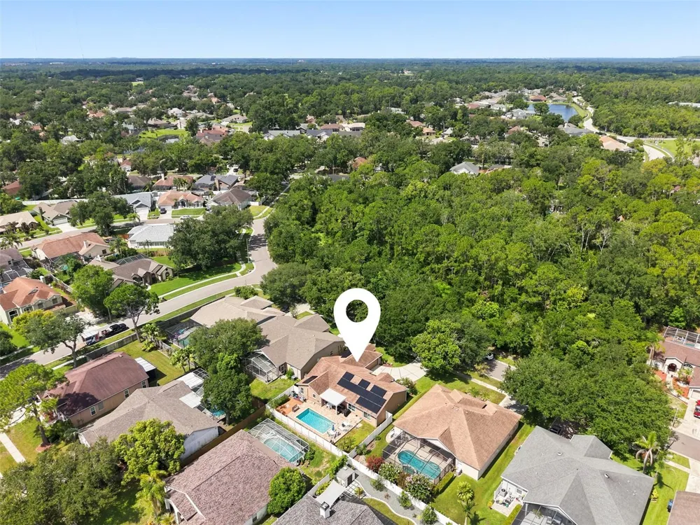 3720 TREELINE DRIVE Valrico, FL 33596