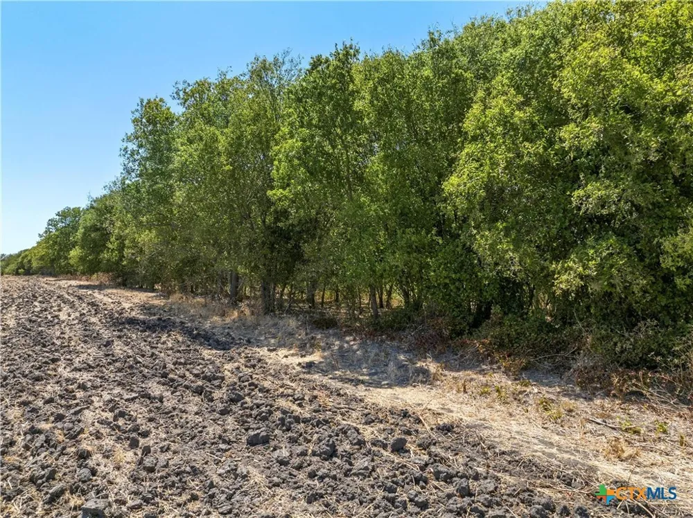 12 T M West Parkway West, TX 76691