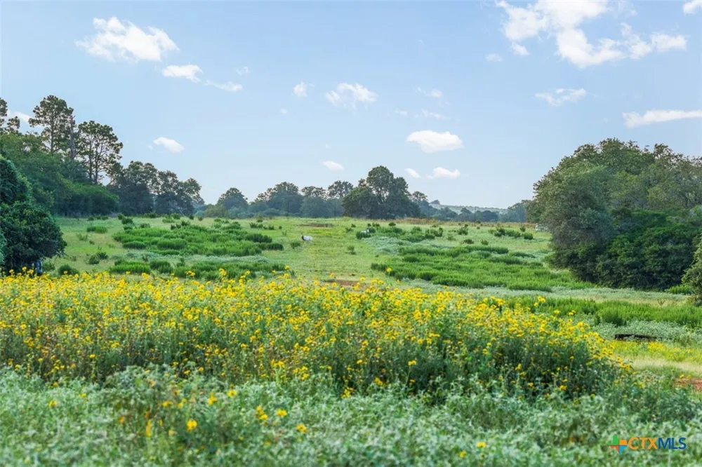 2524 Sandy Fork Road Harwood, TX 78616