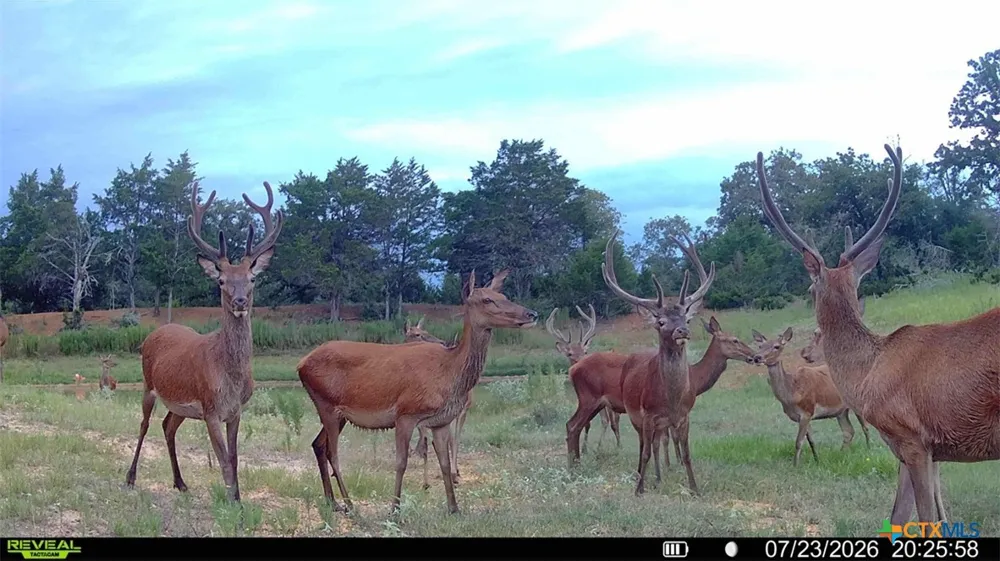2524 Sandy Fork Road Harwood, TX 78616