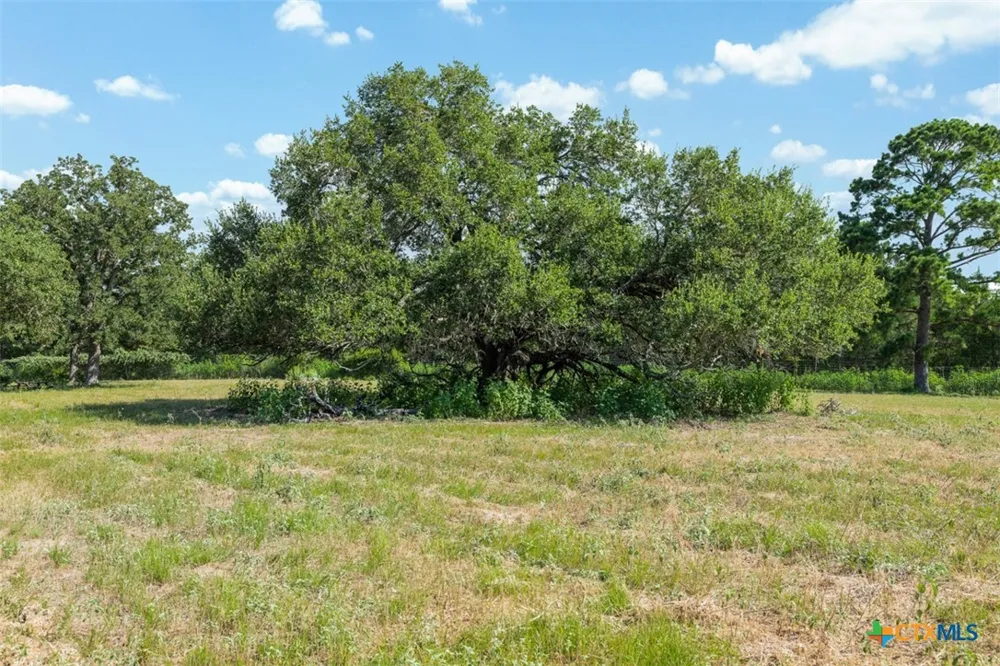 2524 Sandy Fork Road Harwood, TX 78616