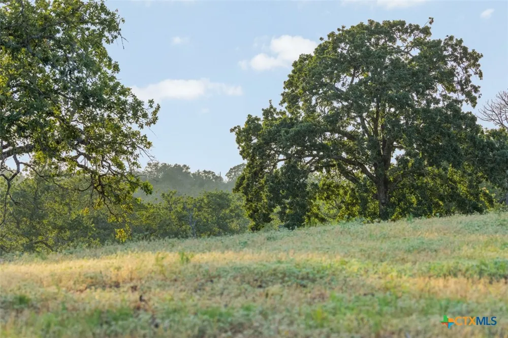 2524 Sandy Fork Road Harwood, TX 78616