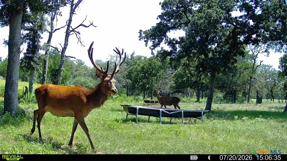 2524 Sandy Fork Road Harwood, TX 78616