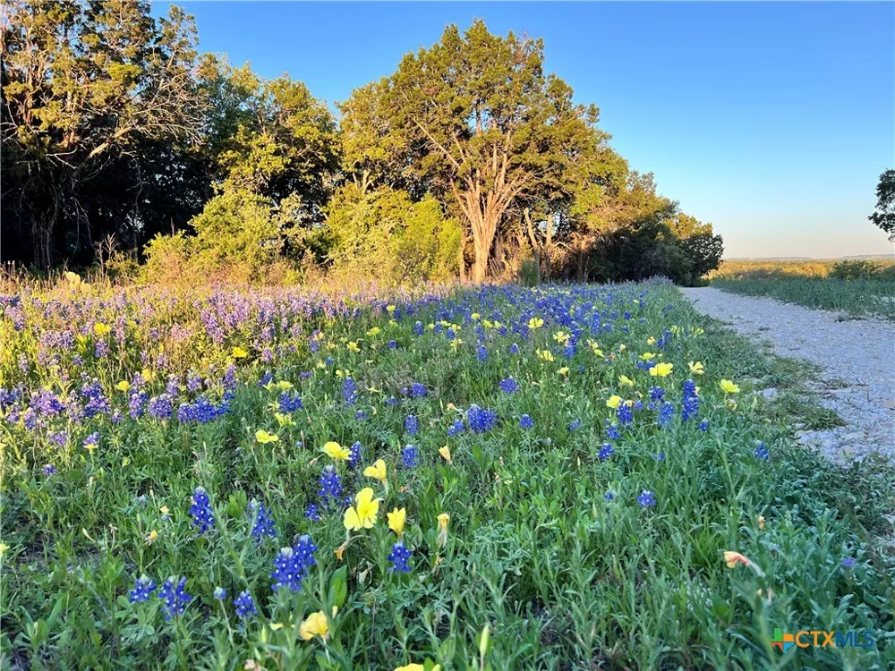 1817 Lutheran Church Road Copperas Cove, TX 76522
