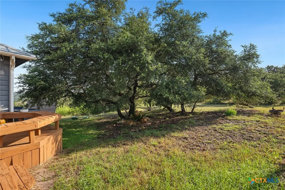5913 Temerity Way Bulverde, TX 78163