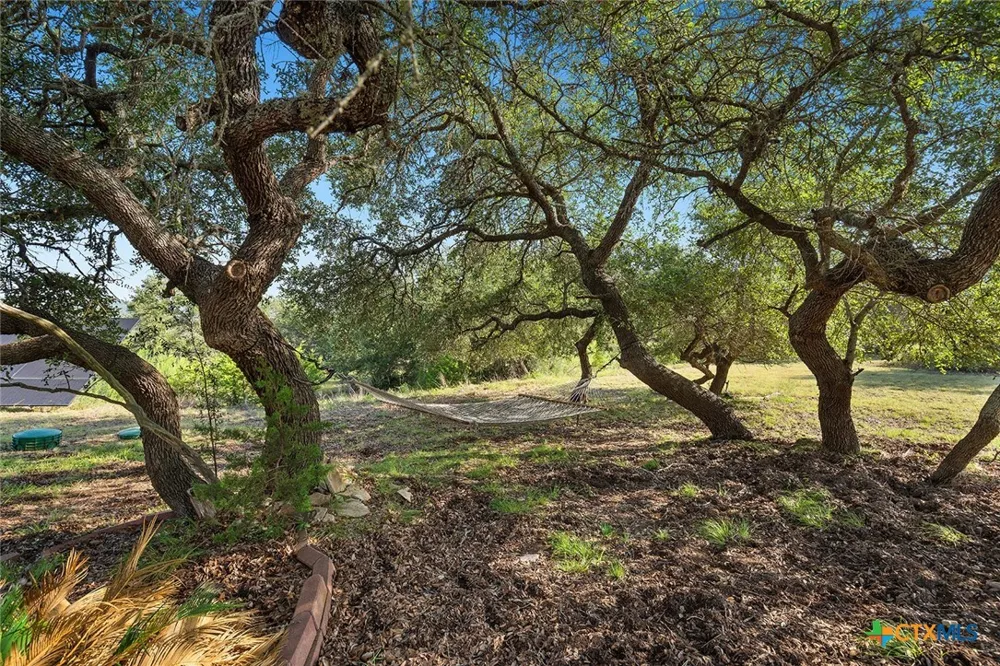 5913 Temerity Way Bulverde, TX 78163
