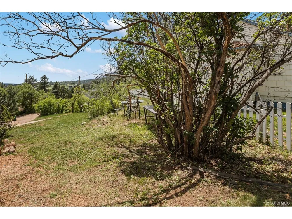 410 Thompson Place Palmer Lake, CO 80133