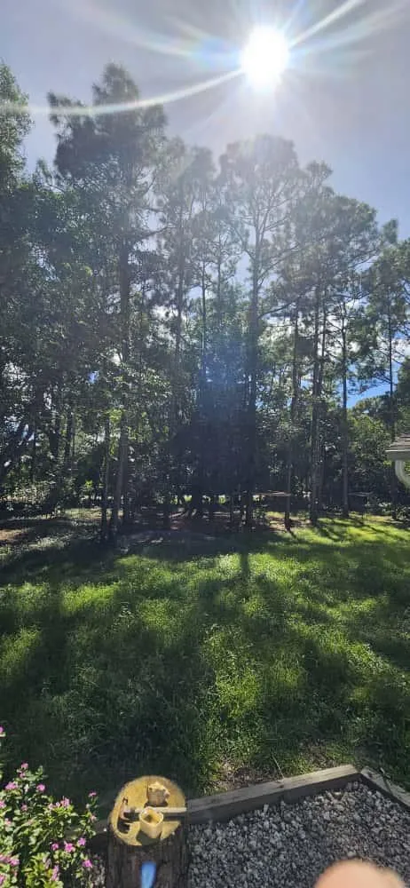 15941 MELLEN LANE 