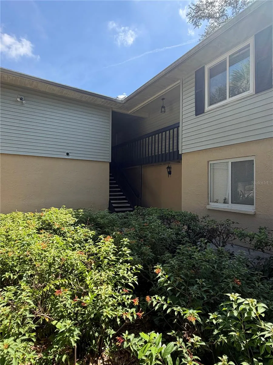233 THORN TREE PLACE Brandon, FL 33510