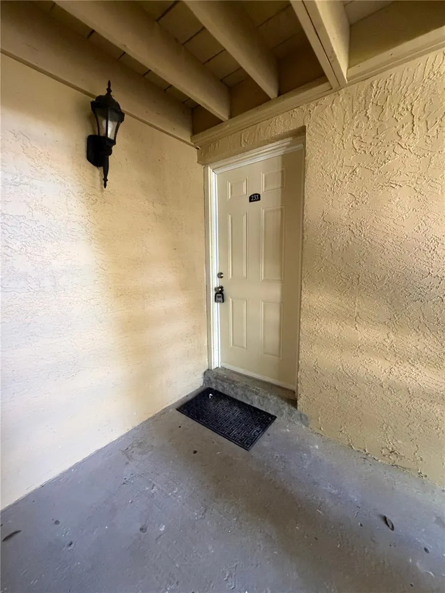 233 THORN TREE PLACE Brandon, FL 33510