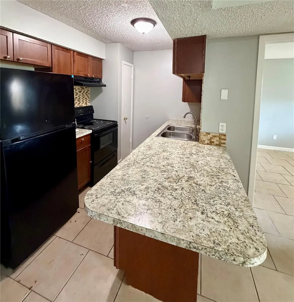 233 THORN TREE PLACE Brandon, FL 33510