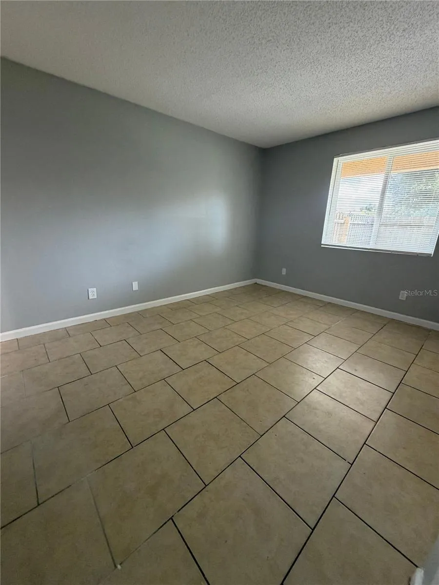 233 THORN TREE PLACE Brandon, FL 33510