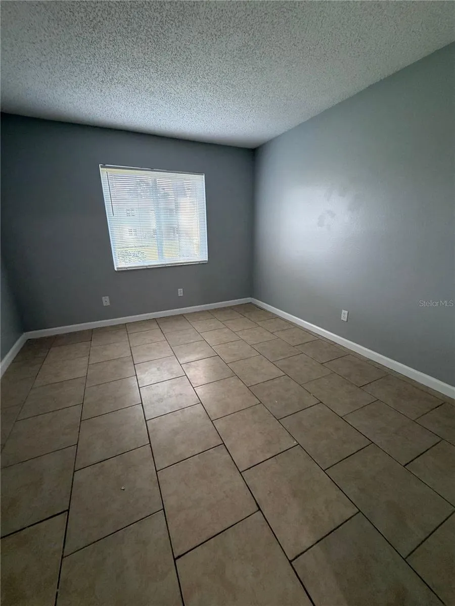 233 THORN TREE PLACE Brandon, FL 33510