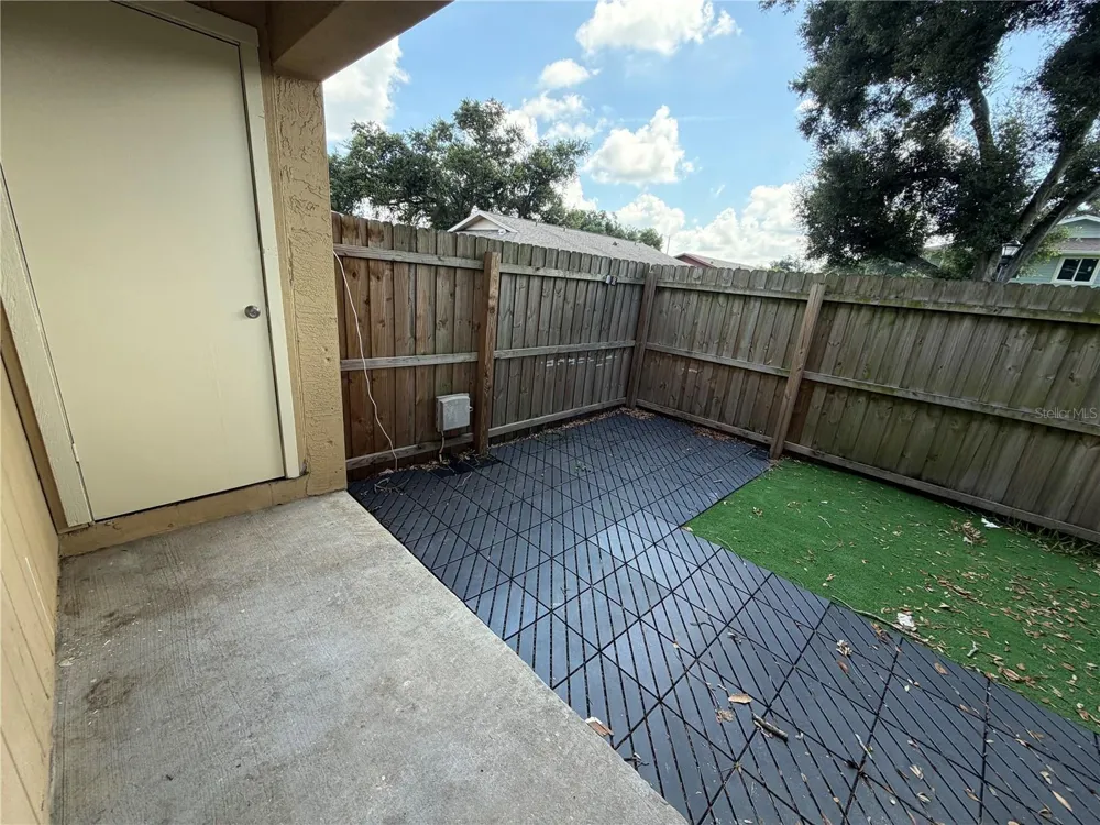 233 THORN TREE PLACE Brandon, FL 33510