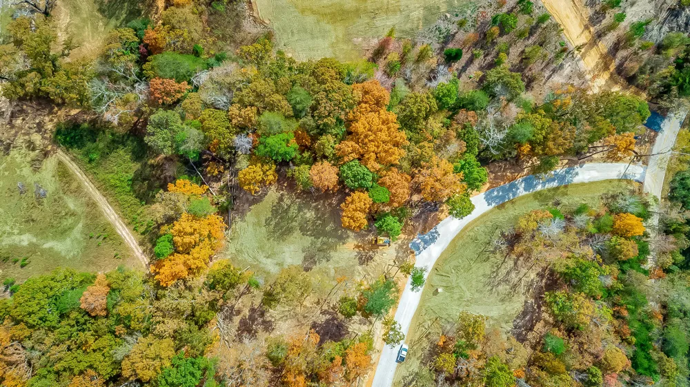 20 Wallaby Way Harrison, TN 37341