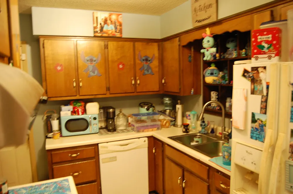 532 Pickett Road Signal Mountain, TN 37377