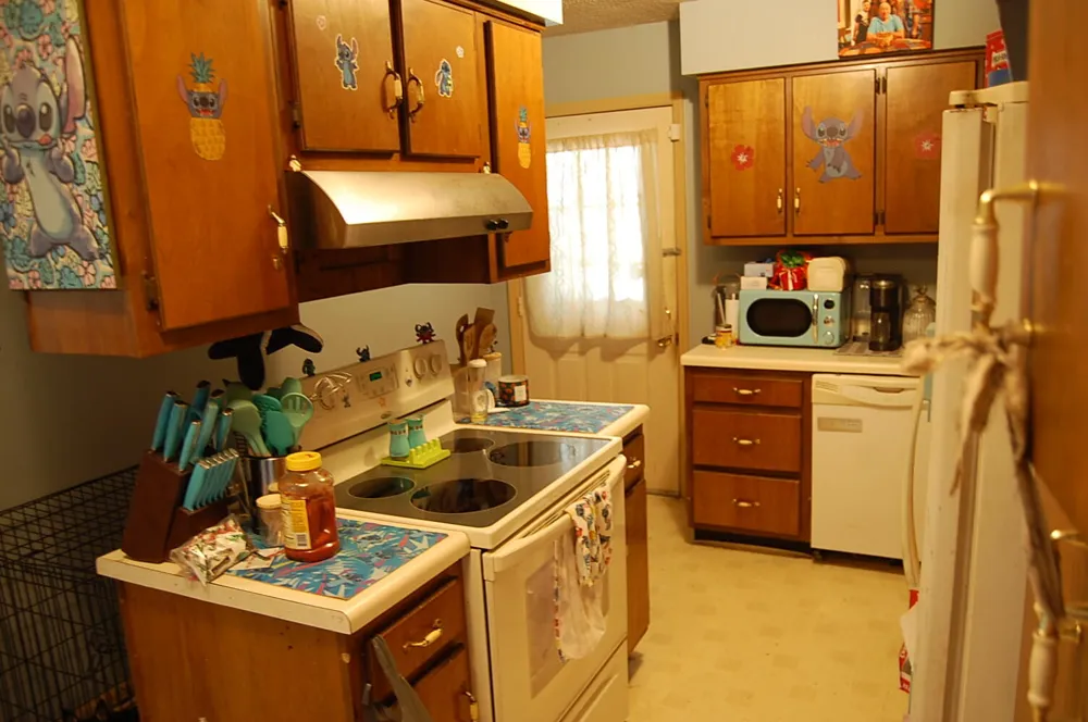 532 Pickett Road Signal Mountain, TN 37377