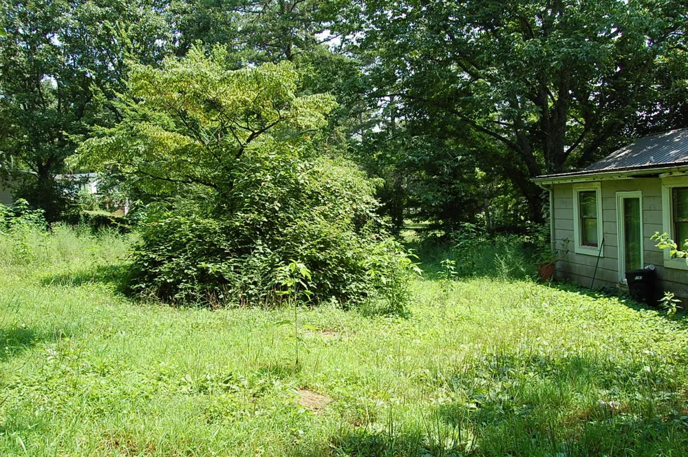 532 Pickett Road Signal Mountain, TN 37377