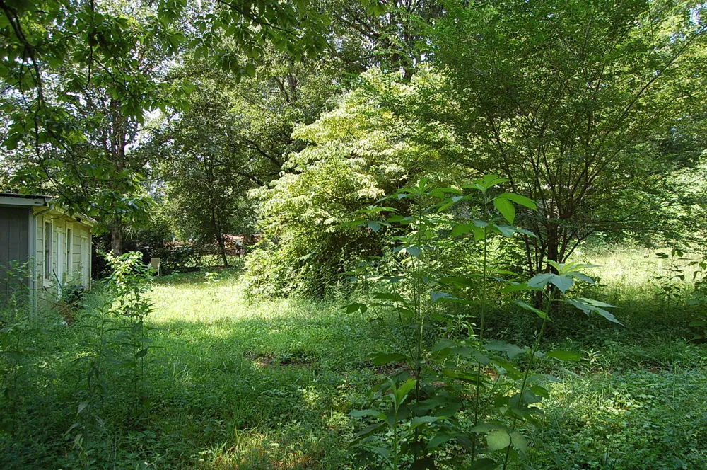 532 Pickett Road Signal Mountain, TN 37377