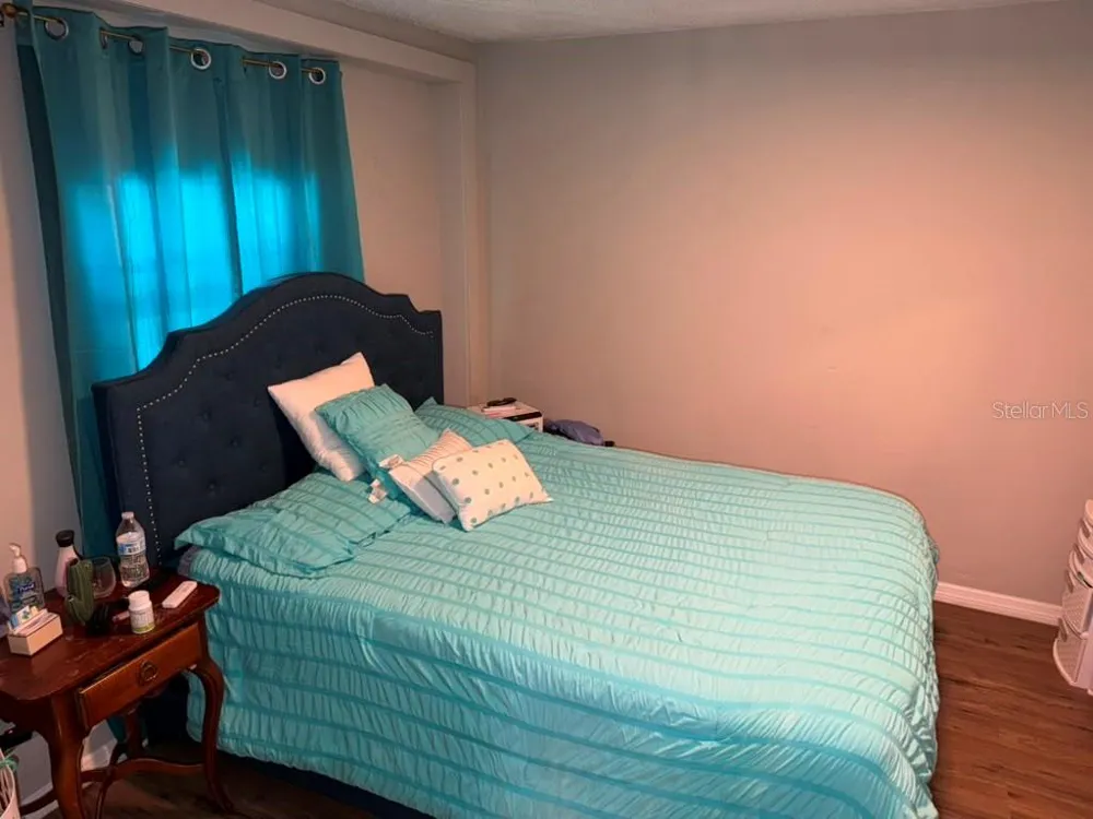 703 E HAMILTON AVENUE Tampa, FL 33604