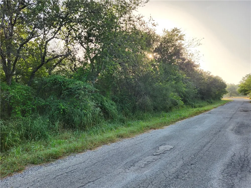 Sandy Hollow Drive Robstown, TX 78380